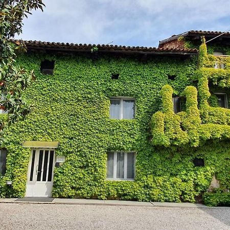 Altebas Bed and Breakfast Nogaredo di Prato Eksteriør billede